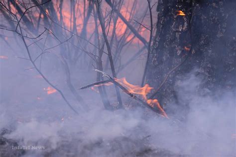 West Virginia man accused of arson, murder in wildfire death